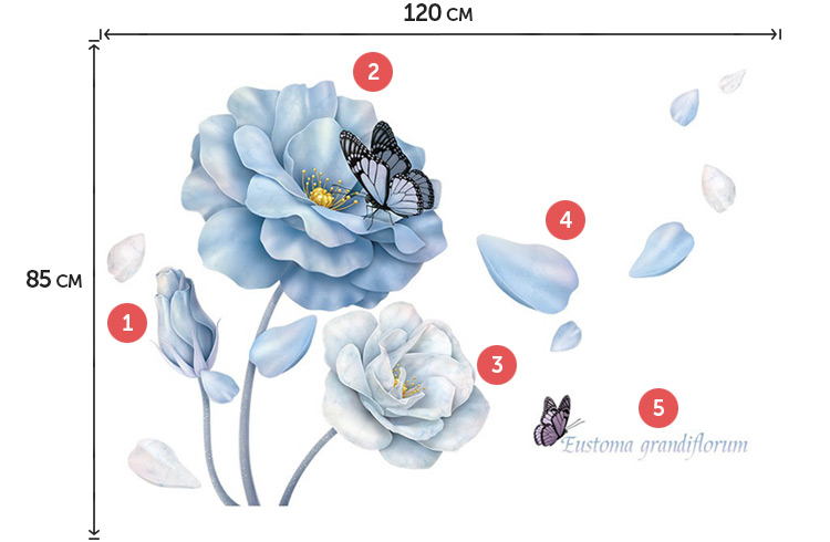 Наклейки цветов на стену кухни/гостиной